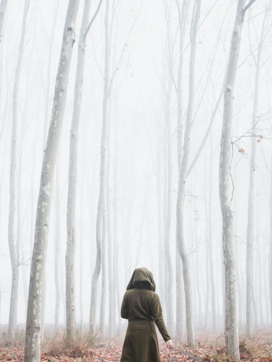 a person standing in the middle of a forest, inspired by Jakub Schikaneder, unsplash contest winner, figurative art, distant hooded figures, isolated on white, freezing, iphone wallpaper