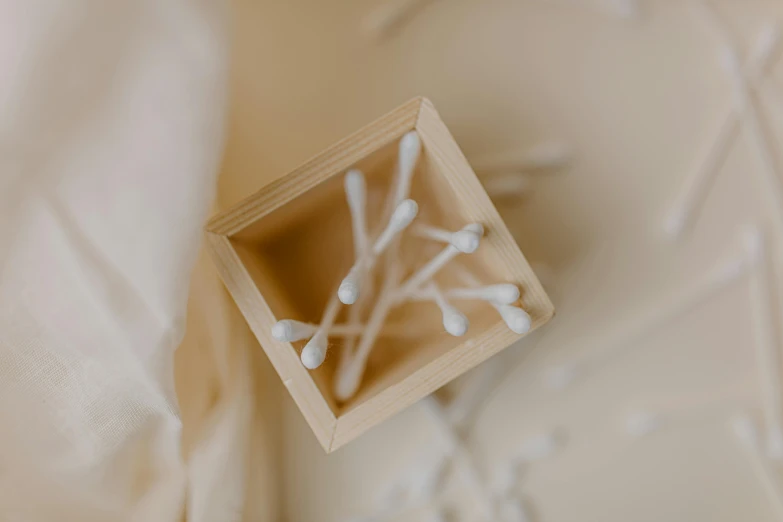 a small wooden box with pins in it, by Ruth Simpson, unsplash, conceptual art, light cream and white colors, gum tissue, close-up product photo, willowy frame