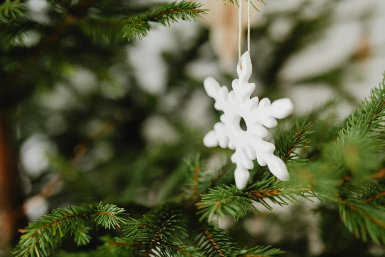 a snowflake ornament hanging from a christmas tree, unsplash, folk art, organic ceramic white, shot on sony a 7, portrait image