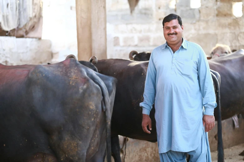 a man standing in front of a herd of cattle, by Riza Abbasi, profile photo, portrait image, thumbnail