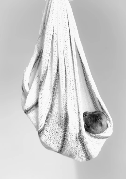 a black and white photo of a cat in a hammock, inspired by Anne Geddes, conceptual art, knitted mesh material, saatchi art, - photorealistic, hanging