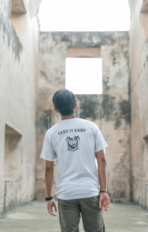 a man in a white shirt riding a skateboard, pexels contest winner, graffiti, standing before ancient ruins, t - shirt, simple minimal, back facing