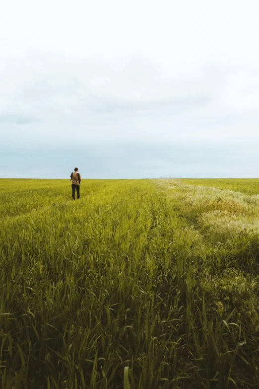 a man standing in a field of tall grass, inspired by Scarlett Hooft Graafland, unsplash, wide high angle view, midwest countryside, grain”, seen from far away
