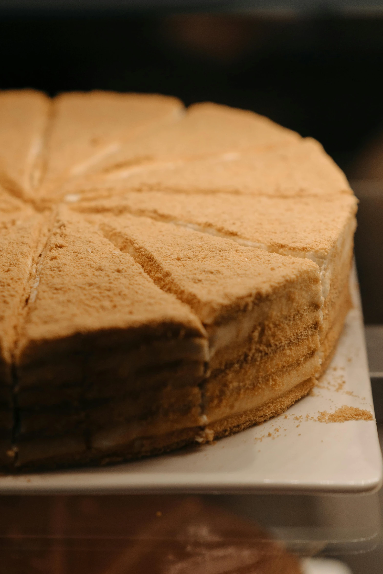 a cake sitting on top of a white plate, massive wide trunk, up-close, sandstone, grain”