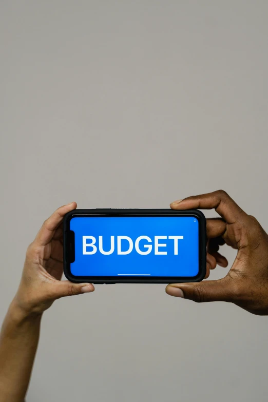 a person holding up a smart phone with the word budget on it, by Alejandro Obregón, essence, instagram post, isaac zuren, jenna barton