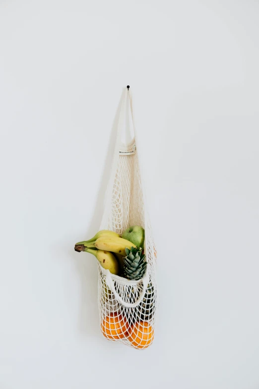 a bag of fruit hanging on a wall, unsplash, net art, detailed product image, white background, bralette, made of food