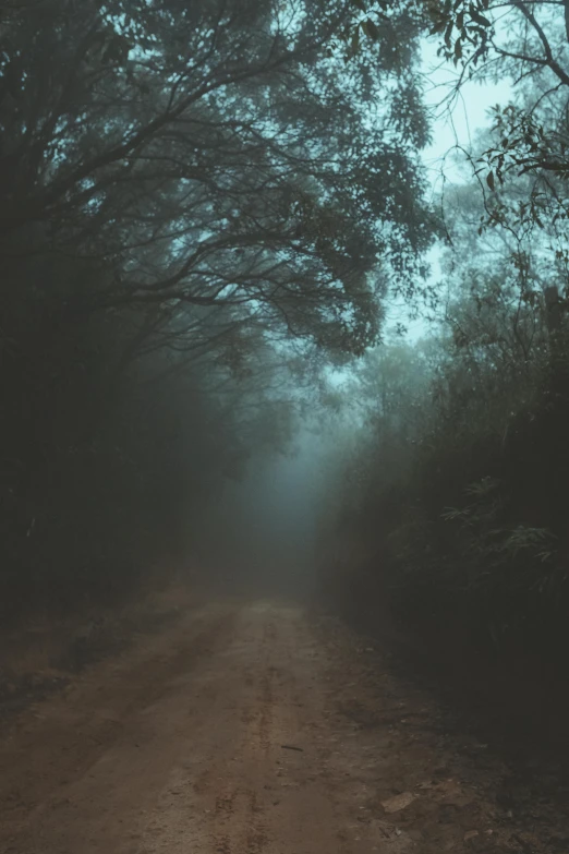 a dirt road surrounded by trees on a foggy day, an album cover, inspired by Elsa Bleda, unsplash contest winner, dark and scary, murky dusty deep, looking left, multiple stories