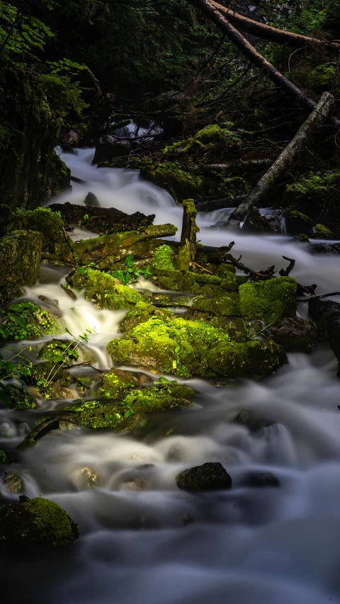 a stream running through a lush green forest, pexels contest winner, process art, glowing green rocks, dramatic light 8 k, 8k octan photo