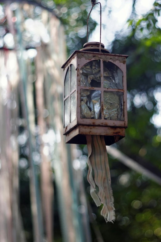 a bird in a cage hanging from a tree, farol da barra, one single lamp, rustic and weathered, up-close