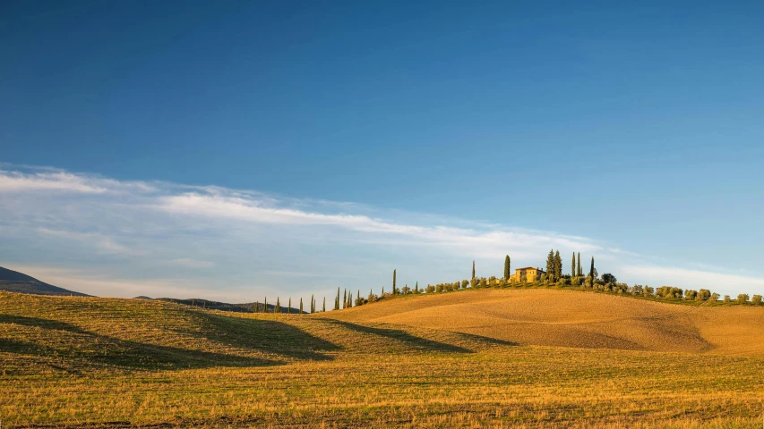 a lone house sitting on top of a hill, pexels contest winner, renaissance, cypress trees, late afternoon light, pasta, blue sky