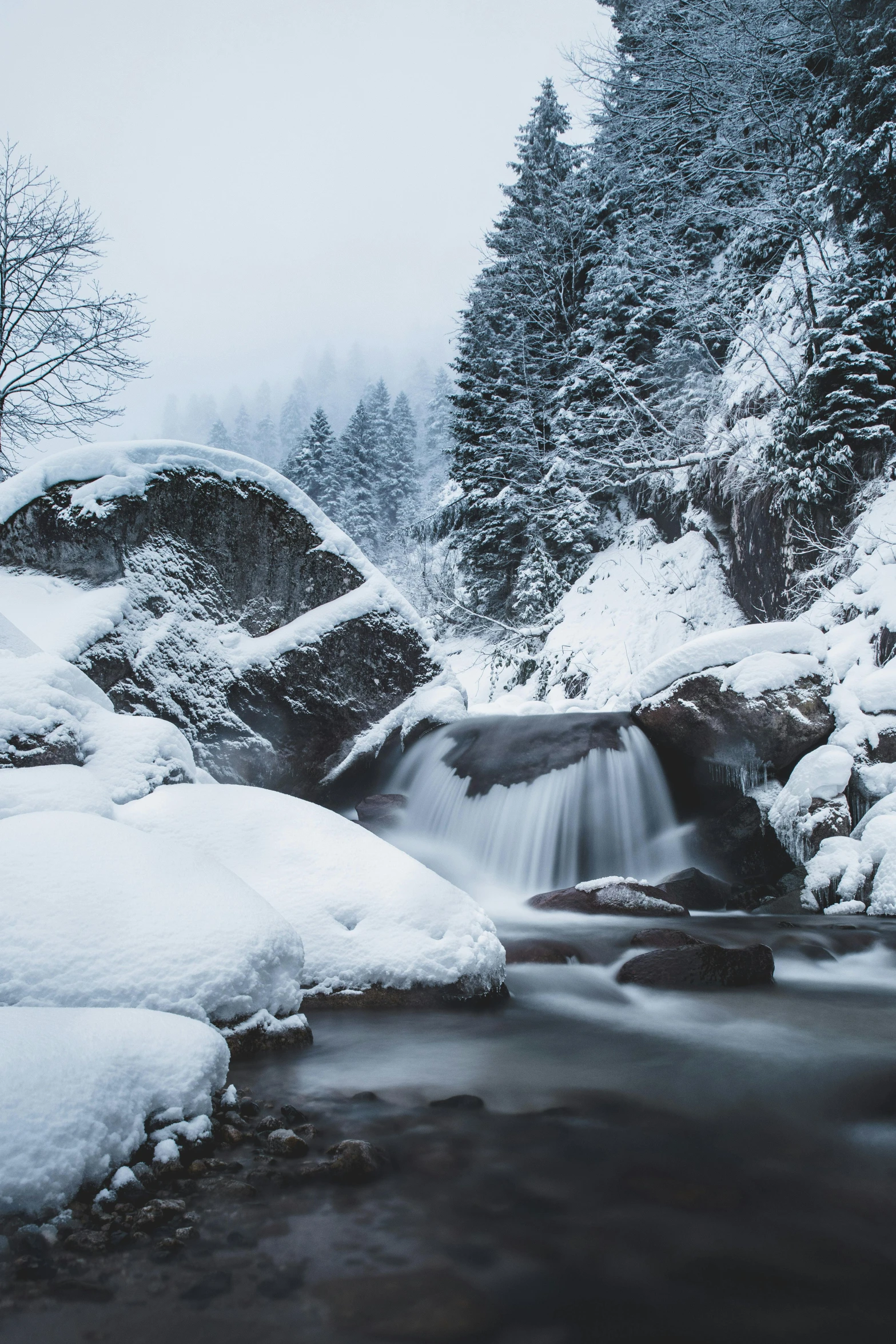 a stream running through a snow covered forest, by Karl Gerstner, pexels contest winner, solitude under a waterfall, medium format. soft light, cute photo, european river