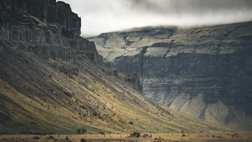 a herd of sheep standing on top of a grass covered field, a matte painting, by Hallsteinn Sigurðsson, unsplash contest winner, hurufiyya, in between a gorge, mesa plateau, grey, seen from afar