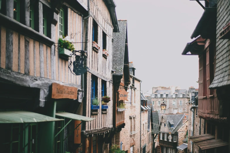 a couple of people walking down a narrow street, pexels contest winner, renaissance, normandy, hiding in the rooftops, a messy, botanical