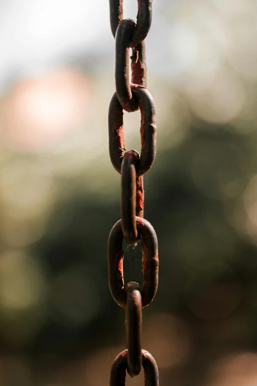 a close up of a chain with a tree in the background, rusty metal towers, blockchain, brown, emerald