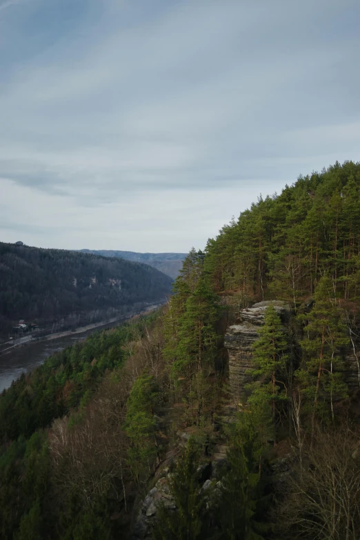 a river flowing through a valley next to a forest, high cliff, - n 9, zdzidaw, looking away from camera