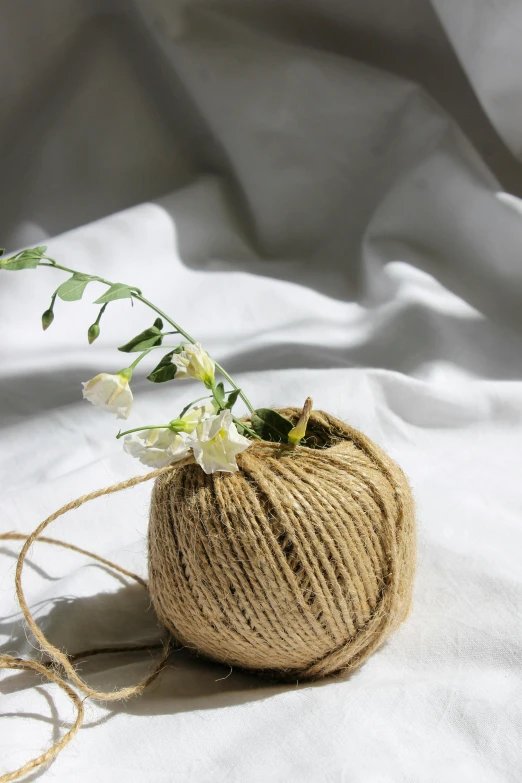 a spool of twine of twine with a plant in it, a still life, unsplash, flowering vines, beige, gourd, casually dressed