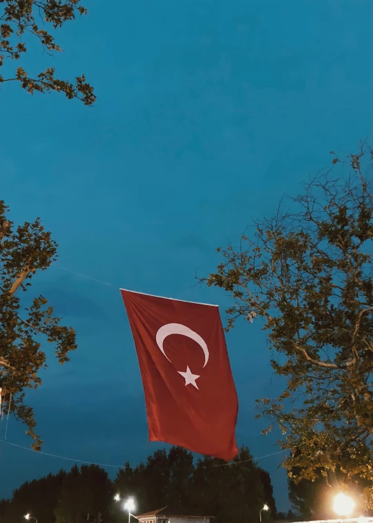 a large turkish flag hanging from the side of a building, an album cover, inspired by Elsa Bleda, pexels contest winner, hurufiyya, trees in background, late summer evening, blue sky, profile image