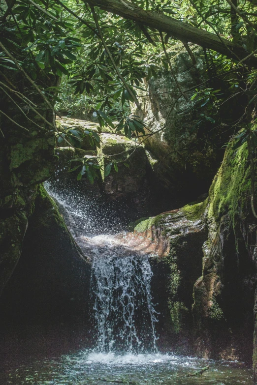 a small waterfall flowing through a lush green forest, an album cover, unsplash contest winner, deep sinkhole, tamborine, wide high angle view, tourist photo