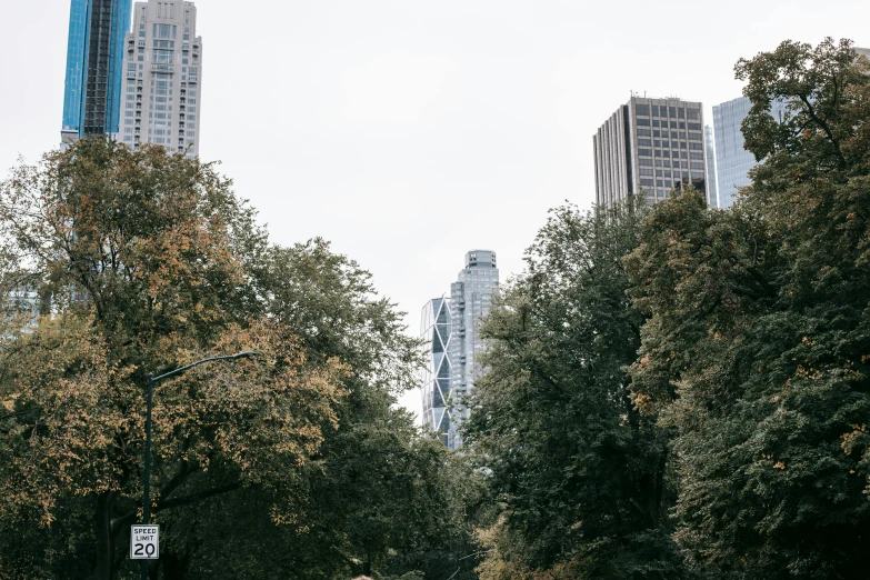 a street filled with lots of trees next to tall buildings, inspired by Thomas Struth, unsplash contest winner, central park, grey skies, autumnal, background image