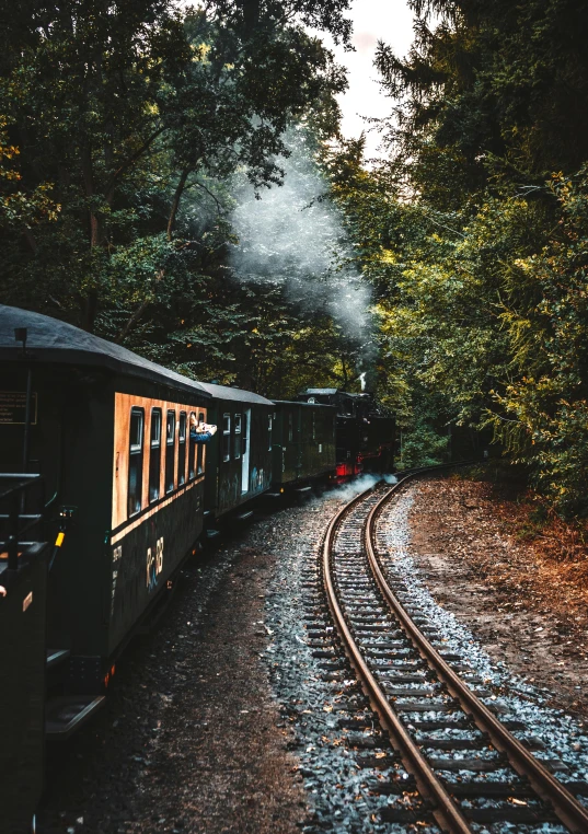 a train traveling through a lush green forest, profile image, instagram picture, belgium, camp