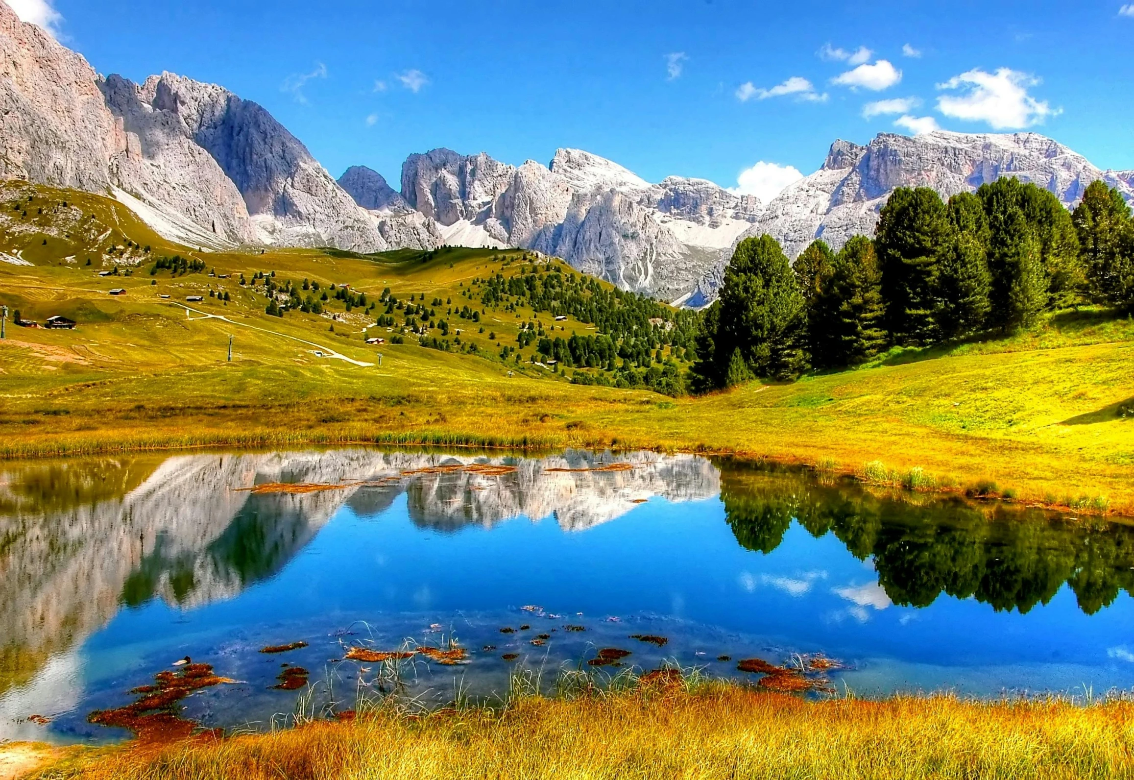 a body of water sitting on top of a lush green hillside, a picture, renaissance, dolomites, more reflection, vivid vibrant colors, cute photo