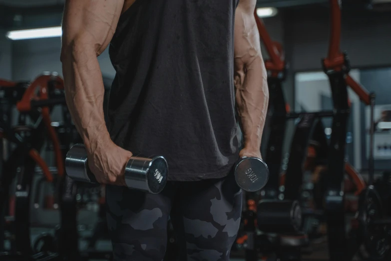 a man holding two dumbbells in a gym, pexels contest winner, 🦩🪐🐞👩🏻🦳, veins popping out, lachlan bailey, high quality photo