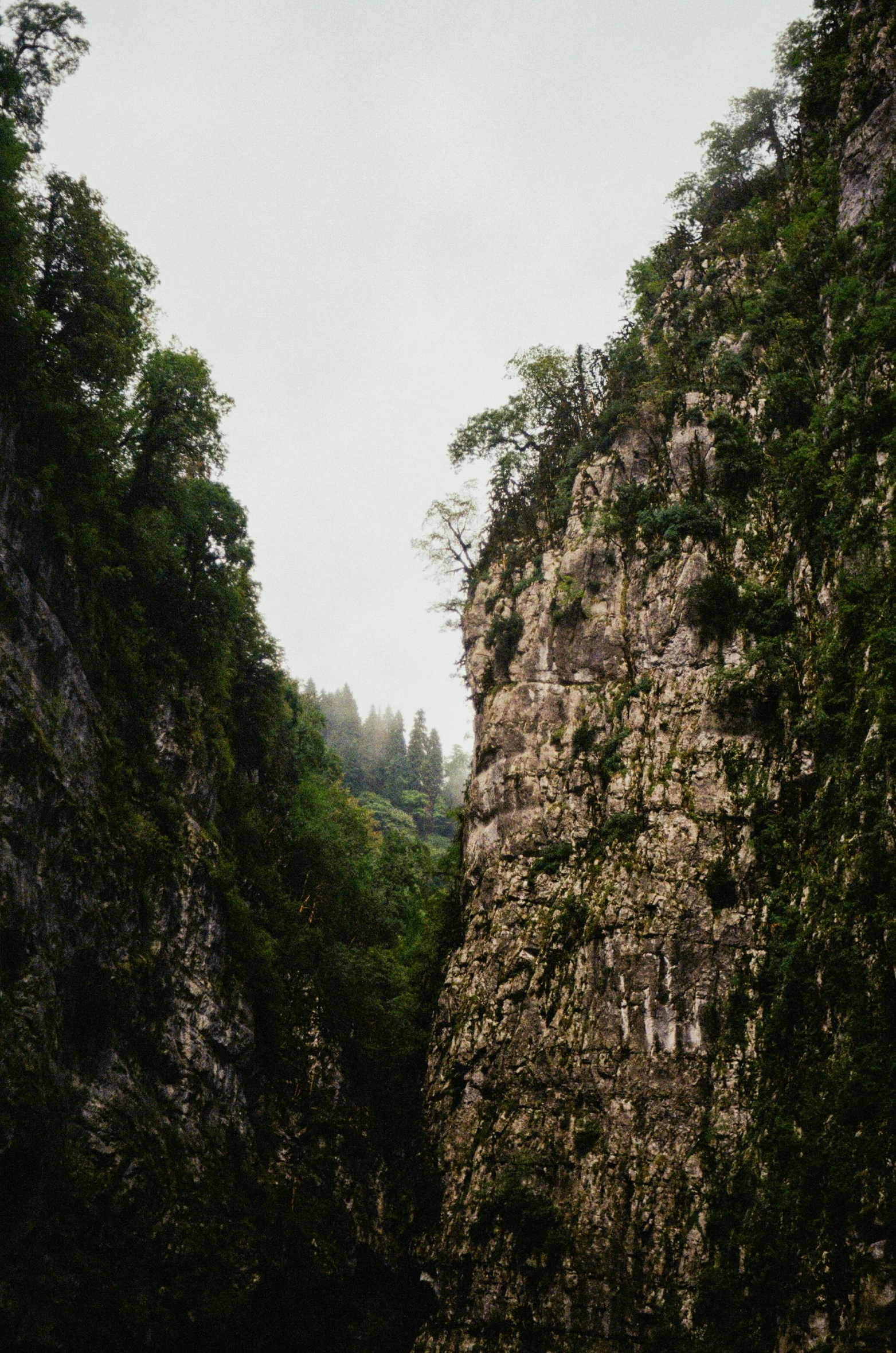 a couple of people riding on the back of a boat, a matte painting, inspired by Thomas Struth, unsplash, photorealism, zhangjiajie national forest park, 4k oil on linen, tall thin, panorama