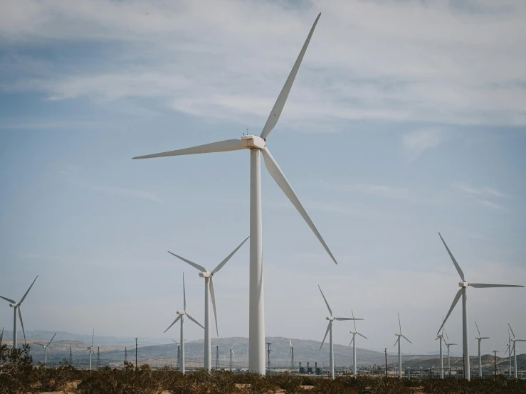 a group of wind turbines in a field, by Carey Morris, pexels contest winner, southern california, fan favorite, high detailed photo, unsplash photography