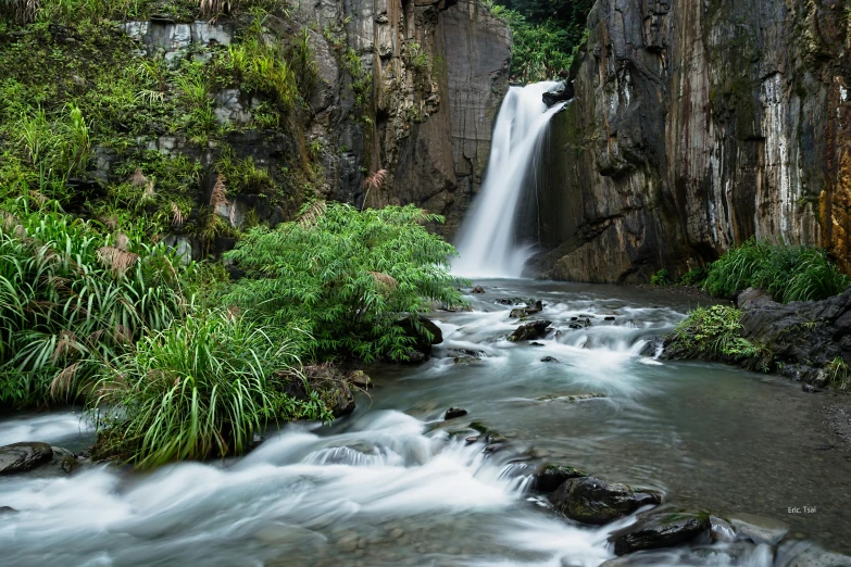 a waterfall flowing through a lush green forest, by Reuben Tam, pexels contest winner, hurufiyya, reunion island, thumbnail, river flowing through a wall, detailed photo 8 k