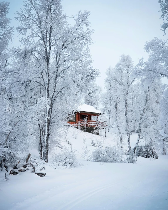 a cabin in the middle of a snowy forest, pexels contest winner, white and red color scheme, thumbnail, alaska, lush surroundings