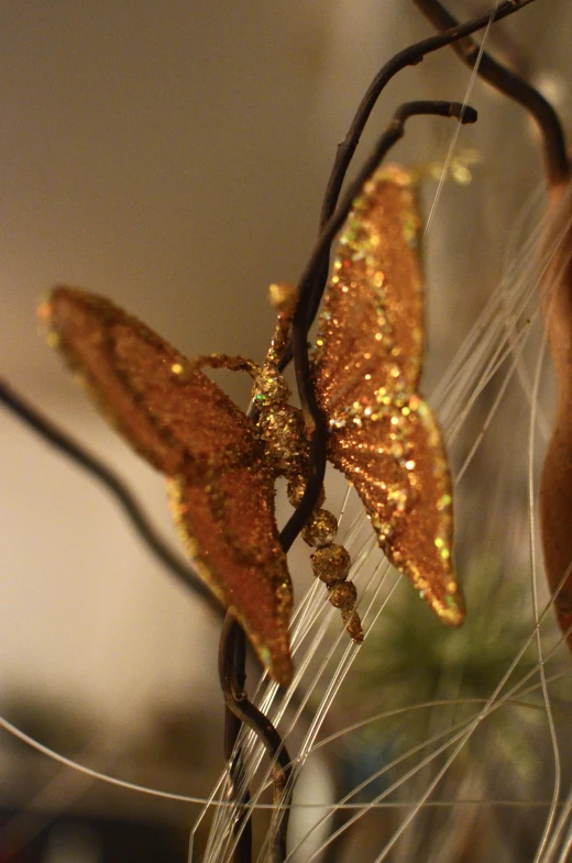 a close up of a branch with a butterfly on it, gold crown and filaments, glistening, medium close shot, looking towards camera