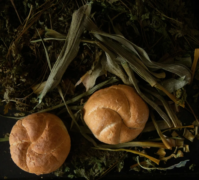 a couple of buns sitting on top of a table, unsplash, process art, botanical herbarium, breads, portrait image