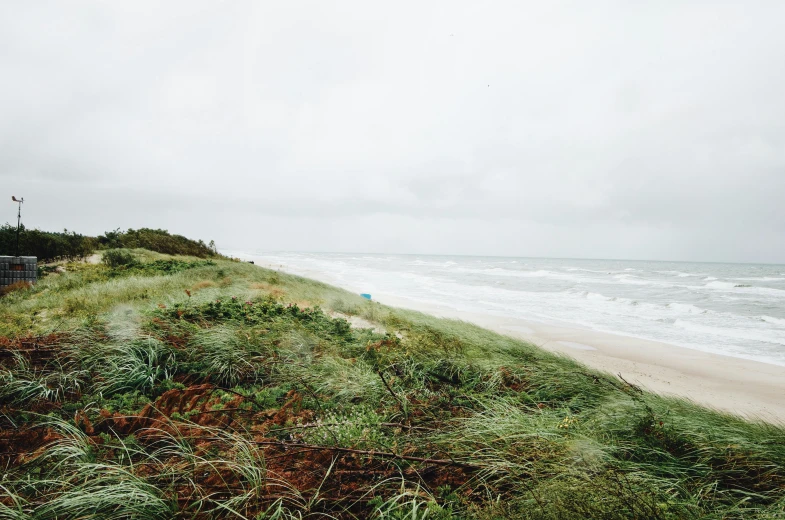 a man standing on top of a lush green hillside next to the ocean, an album cover, unsplash, hurufiyya, overcast gray skies, australian beach, long thick grass, white sandy beach