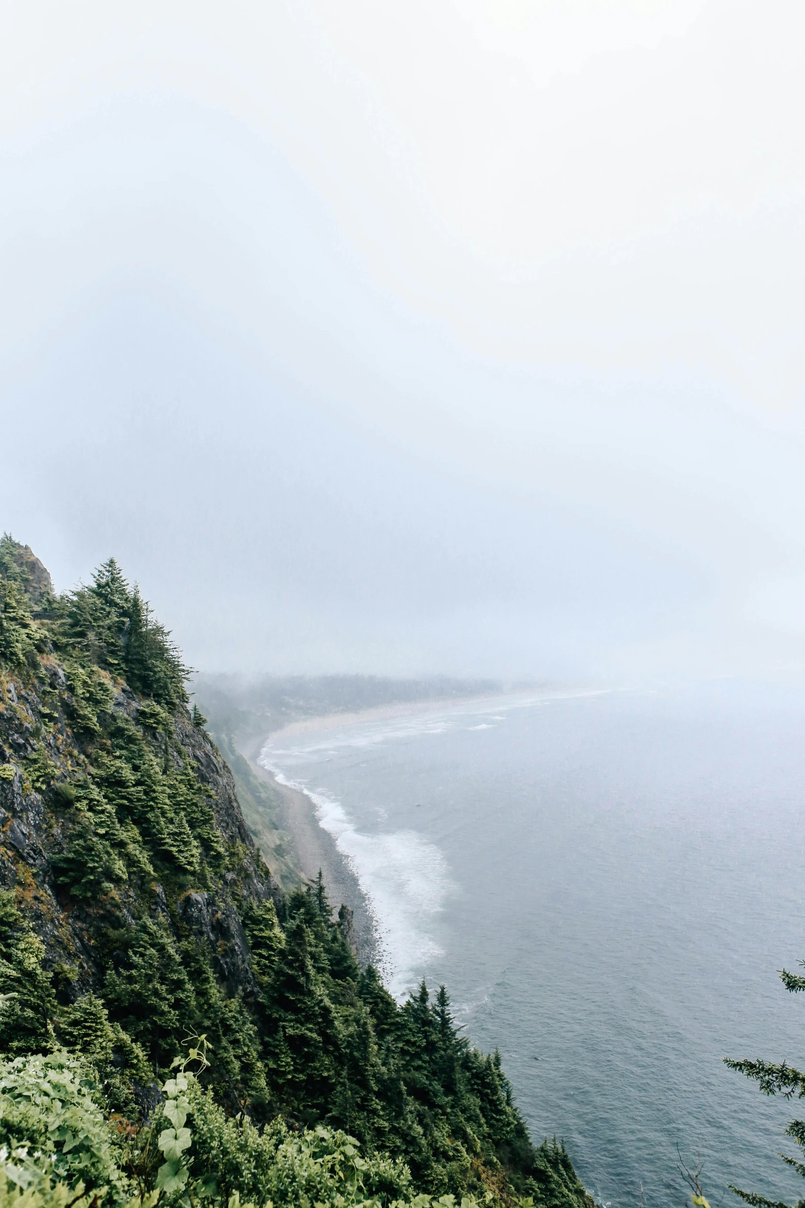 a man standing on top of a cliff next to the ocean, by Kristin Nelson, unsplash, foggy forest, 2 5 6 x 2 5 6 pixels, panorama, washington