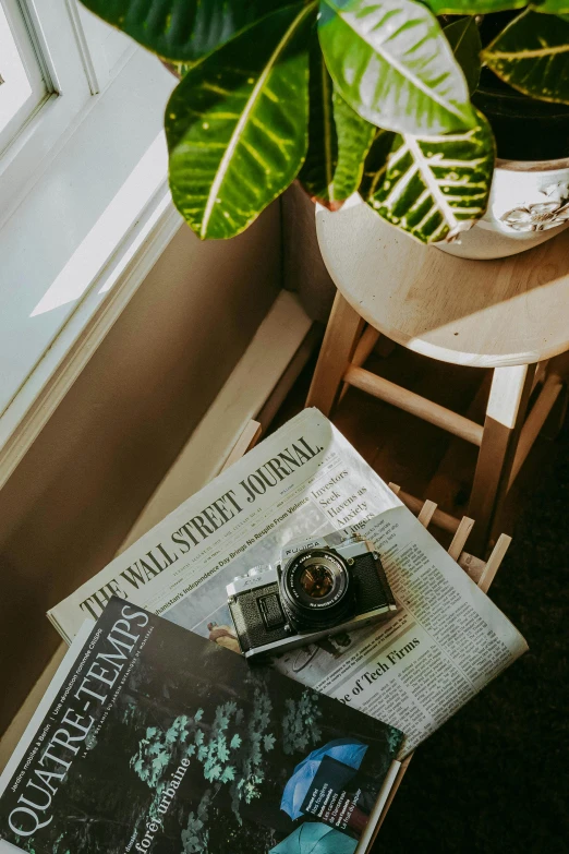 a magazine sitting on top of a table next to a plant, a picture, unsplash contest winner, visual art, vintage camera, reading nook, morning sunlight, conde nast traveler photo