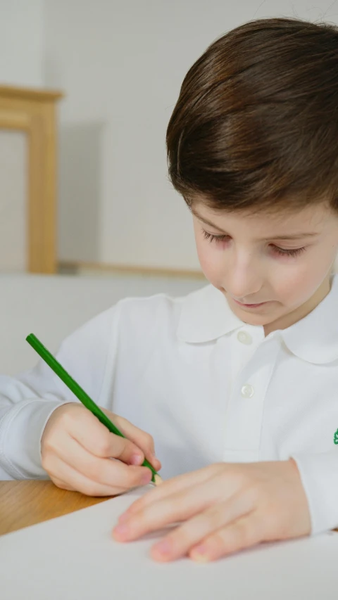 a young boy sitting at a table with a pencil in his hand, inspired by Gerard David, pexels contest winner, danube school, white shirt and green skirt, wearing polo shirt, environmental shot, gif