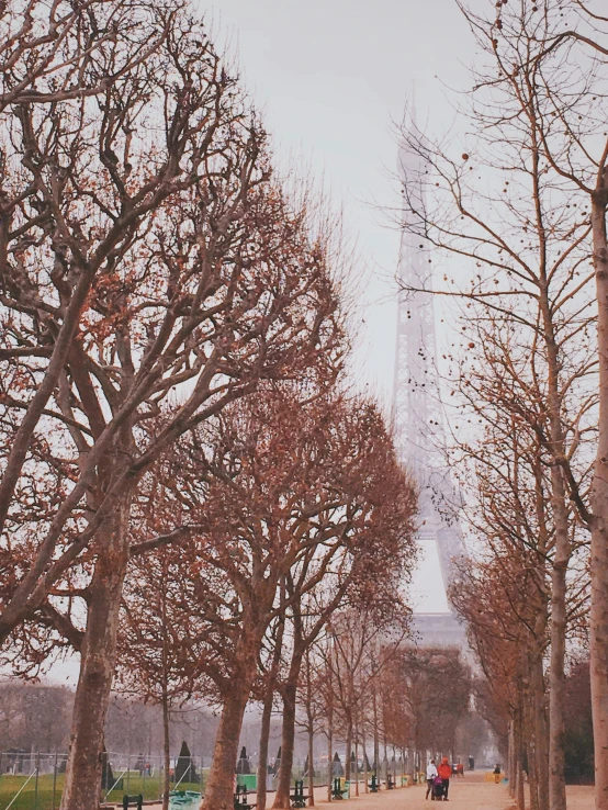 a view of the eiffel tower through the trees, an album cover, pexels contest winner, tonalism, snowfall, gif, ((trees)), brown mist