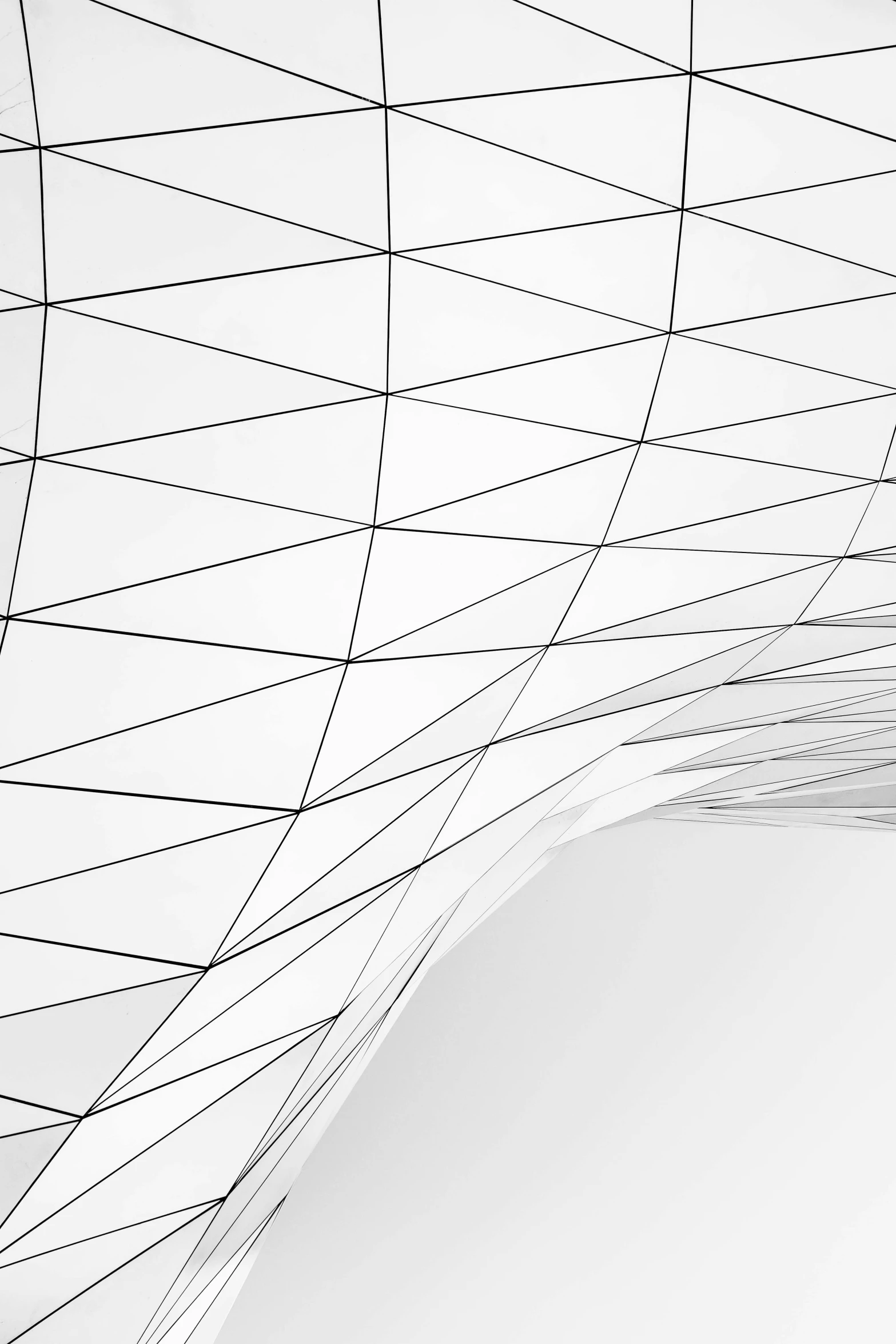 a black and white photo of a building, an abstract drawing, inspired by Zaha Hadid, unsplash, 'white background'!!!, wire, gradient and patterns wallpaper, tent architecture