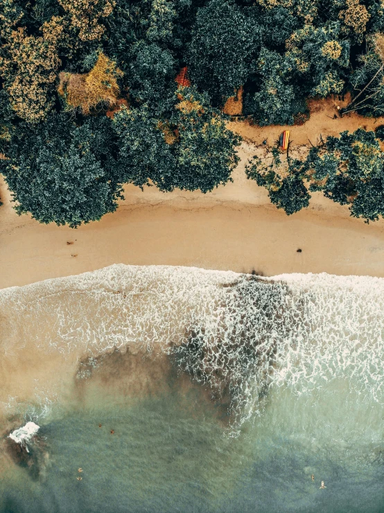 an aerial view of a beach with a boat in the water, big trees, sand swirling, unsplash 4k, bird\'s eye view