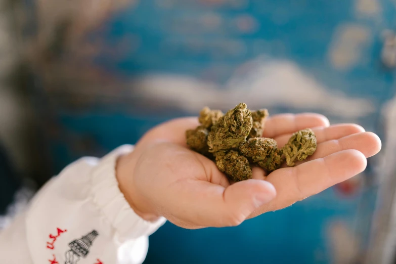 a person holding a handful of marijuana in their hand, by Julia Pishtar, unsplash, renaissance, decoration, snacks, 15081959 21121991 01012000 4k, instagram post