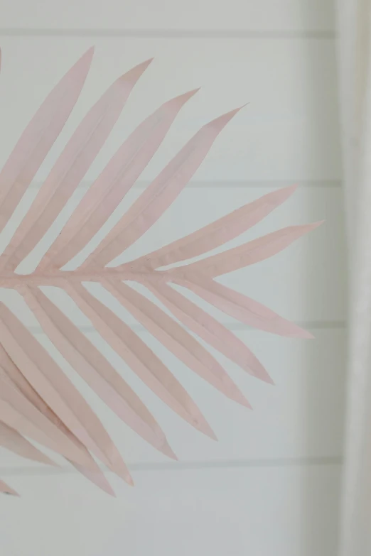 a close up of a palm leaf on a wall, featured on pinterest, white and pink cloth, made from paper, ((pink)), made of silk paper