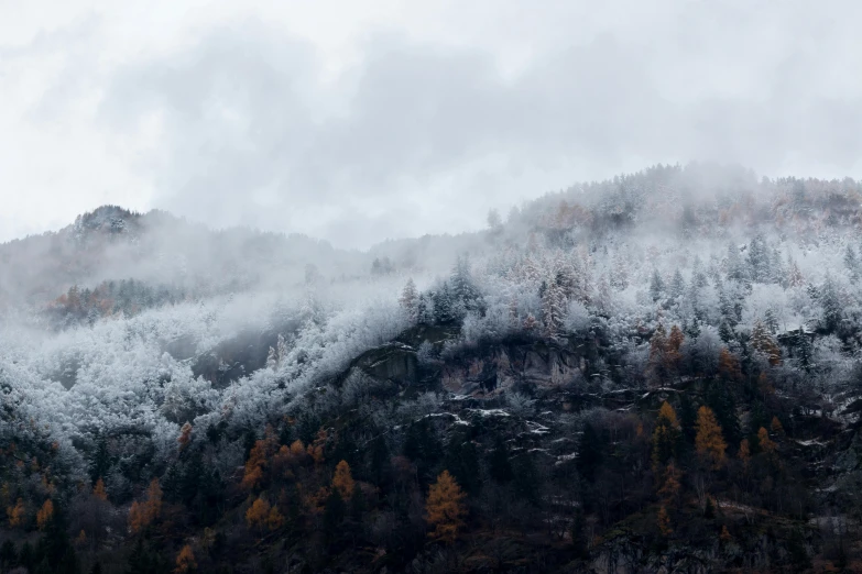 a mountain covered in snow on a cloudy day, pexels contest winner, romanticism, autumn, over the tree tops, light grey mist, thumbnail