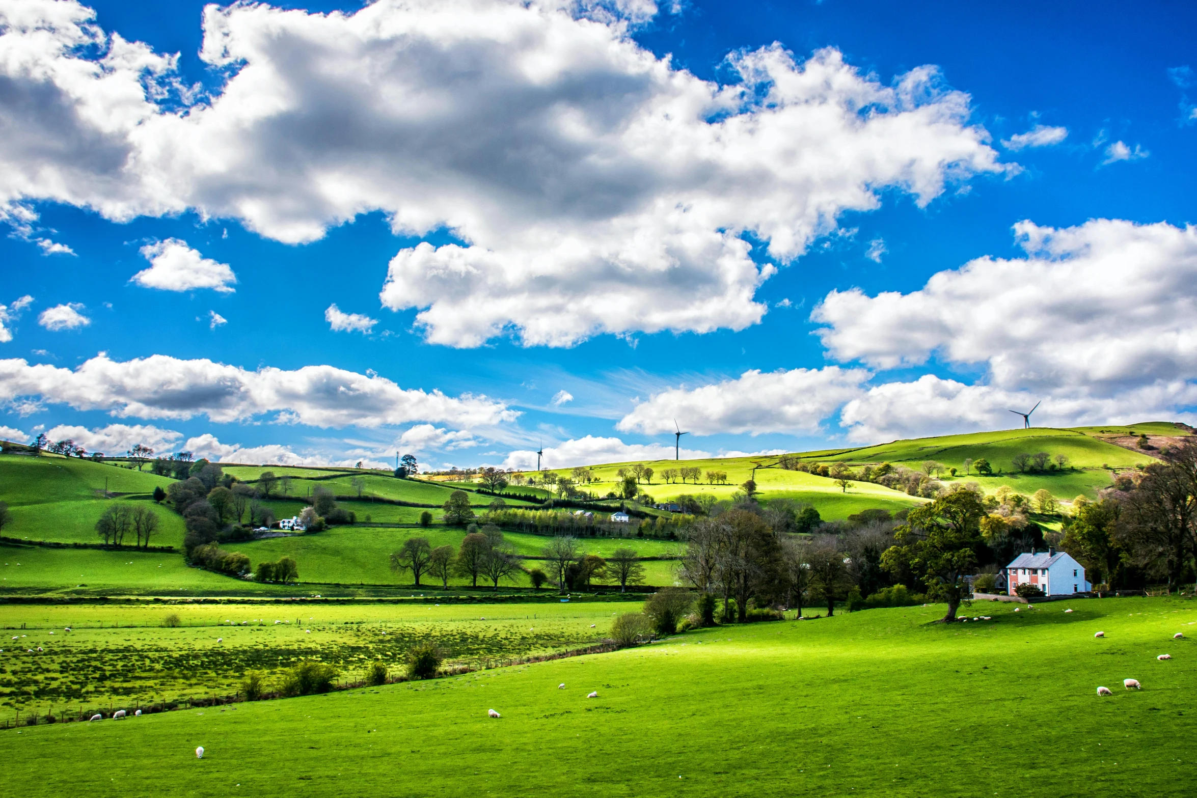 a herd of sheep grazing on a lush green hillside, by Julian Hatton, pexels contest winner, beautiful sky with cumulus couds, english village, cyan and green, arney freyag