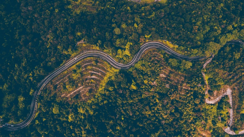 a winding road in the middle of a forest, pexels contest winner, flying above a tropical forest, festivals, clean long lines, vehicle