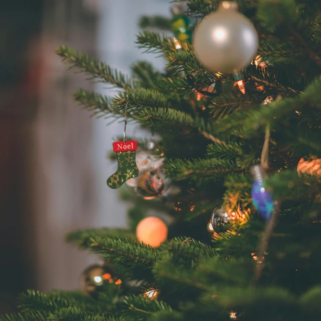 a close up of a christmas tree with ornaments, by Jakob Gauermann, pexels, multiple stories, cozy wallpaper, a green, 5 feet away