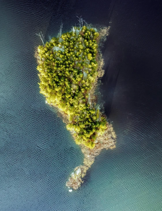 a small island in the middle of a body of water, looking down on the camera, bright nordic forest, thumbnail, proportional image