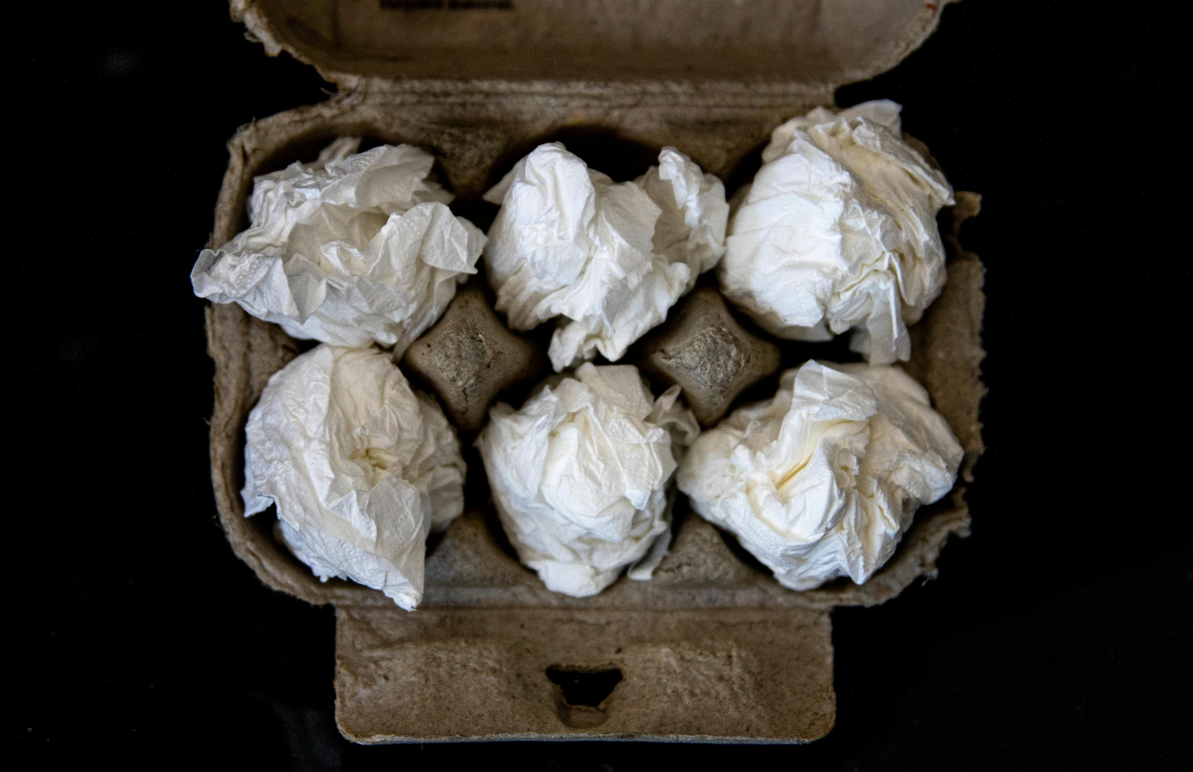a carton filled with eggs sitting on top of a table, in front of a black background, lots of white cotton, six pack, parchment paper