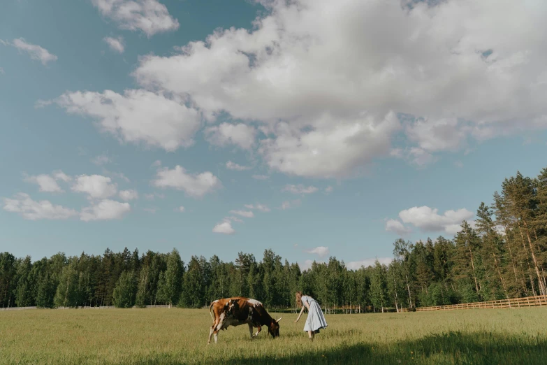 a couple of cows standing on top of a lush green field, an album cover, by Emma Andijewska, unsplash, romanticism, northern finland, panoramic view of girl, wedding, medium format