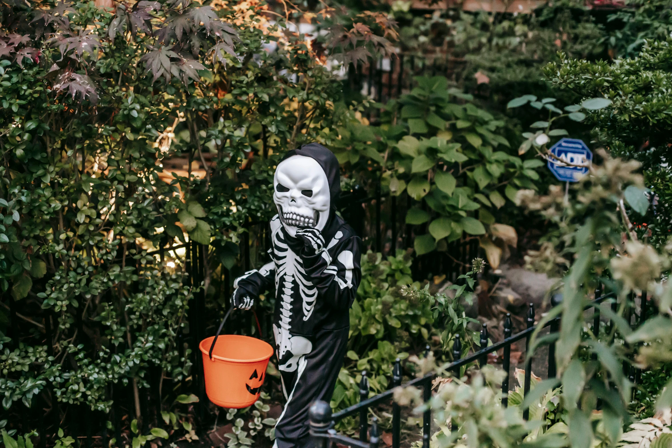 a person in a skeleton costume holding a bucket, by Julia Pishtar, pexels contest winner, lush brooklyn urban landscaping, in the garden, kids, 15081959 21121991 01012000 4k