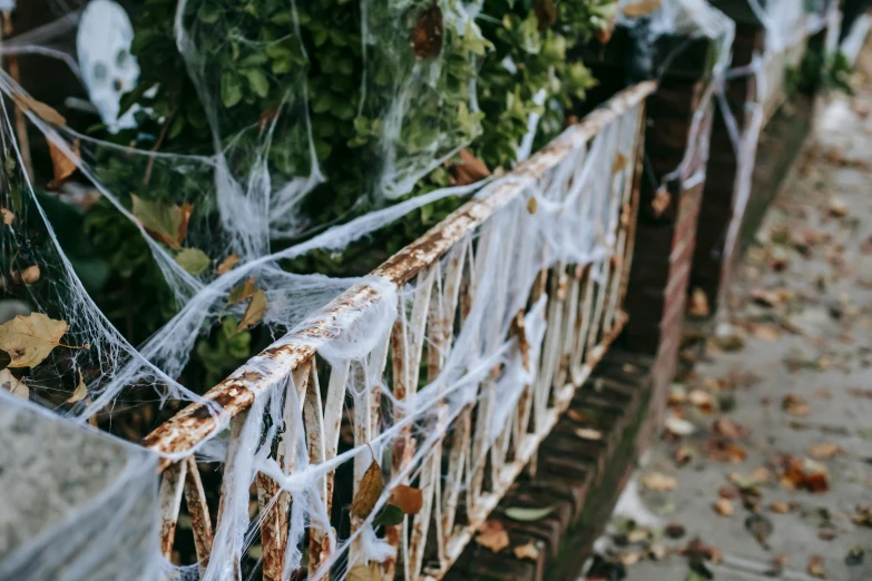 a close up of a fence with spider webs on it, pexels, fancy dress, 🦩🪐🐞👩🏻🦳, spooky mansion, background image